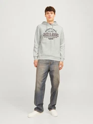Jack & Jones Kapuzensweatshirt JJELOGO SWEAT HOOD 2 Khaki/Neonfarben/Grau/Dunkelgrün