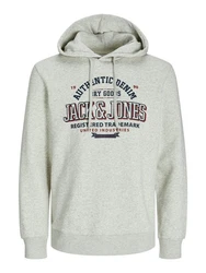 Jack & Jones Kapuzensweatshirt JJELOGO SWEAT HOOD 2 Khaki/Neonfarben/Grau/Dunkelgrün
