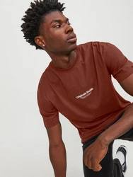Jack & Jones T-Shirt JORVESTERBRO kastanienbraun / wei