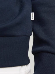 Jack & Jones Kapuzensweatshirt JJELOGO SWEAT HOOD 2 