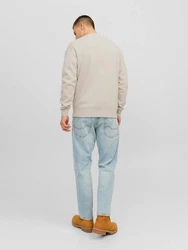 JACK & JONES Sweatshirt 'JORVesterbro' Beige/Khaki