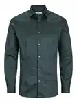 JACK & JONES Hemd 'Parma' Dunkelgrün/Grün
