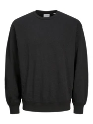 Jack & Jones Sweatshirt JJECHARGE SWEAT CREW NECK NOOS 