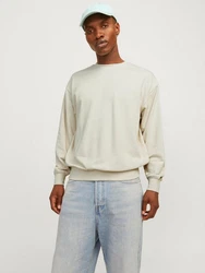 Jack & Jones Sweatshirt JJECHARGE SWEAT CREW NECK NOOS 