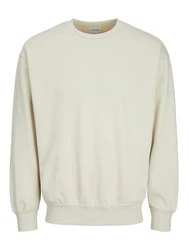 Jack & Jones Sweatshirt JJECHARGE SWEAT CREW NECK NOOS 