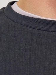 Jack & Jones Sweatshirt JJECHARGE SWEAT CREW NECK NOOS 