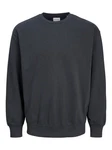 Jack & Jones Sweatshirt JJECHARGE SWEAT CREW NECK NOOS 