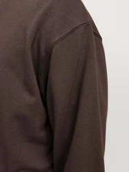 Jack & Jones Sweatshirt JJECHARGE SWEAT CREW NECK NOOS 