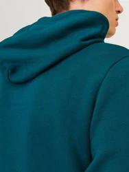 Jack & Jones Sweatshirt JJECORP LOGO SWEAT HOOD PLAY NOOS Grün/Türkis