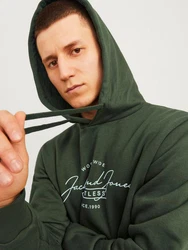 Jack & Jones Sweatshirt JJFERRIS Dunkelgrün/Grün