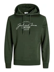Jack & Jones Sweatshirt JJFERRIS Dunkelgrün/Grün
