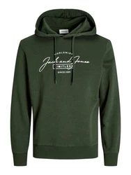 Jack & Jones Sweatshirt JJFERRIS Dunkelgrün/Grün
