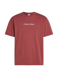Calvin Klein T-Shirt 'Hero' Rot/Dunkelrot/Braun