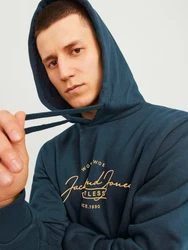 Jack & Jones Sweatshirt JJFERRIS Dunkelblau/Blau/Hellblau