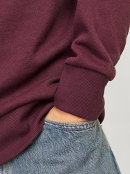 Jack & Jones Kapuzensweatshirt JJALVIS SWEAT HOOD Dunkelrot/Rot/Lila/Bordeaux
