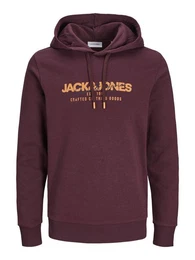 Kapuzensweatshirt JJALVIS SWEAT HOOD