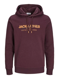 Jack & Jones Kapuzensweatshirt JJALVIS SWEAT HOOD
