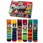 United Oddsocks Kurzsocken Herren Socken Mischfarben/Grau