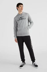 O'Neill Kapuzensweatshirt Logo Hoodie 