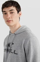 O'Neill Kapuzensweatshirt Logo Hoodie 