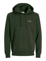 Jack & Jones Sweatshirt JJFERRIS Dunkelgrün/Grün