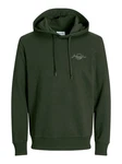Jack & Jones Sweatshirt JJFERRIS Dunkelgrün/Grün