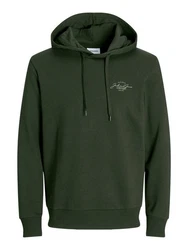 Jack & Jones Sweatshirt JJFERRIS Dunkelgrün/Grün