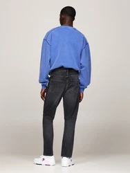 Tommy Jeans Regular-fit-Jeans DAD JEAN RGLR TPRD Grau/Dunkelgrau/Schwarz/Dunkelblau