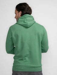 Petrol Industries Sweatshirt 'Tetlin' Grün