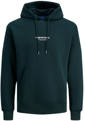 Jack & Jones Hoodie JORVESTERBRO Dunkelgrün/Grün