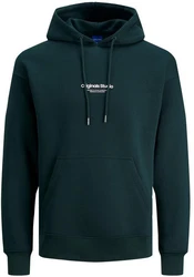 Jack & Jones Hoodie JORVESTERBRO Dunkelgrün/Grün