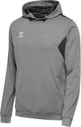 Kapuzenpullover Hmlauthentic Pl Hoodie
