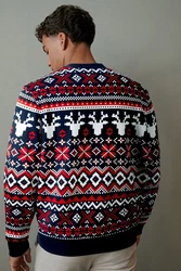 Next Sweatshirt Pullover (1-tlg) Rot/Mischfarben/Braun/Weiß/Gelb/Hellblau