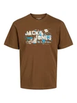 Jack & Jones T-Shirt JCOOUTDOOR LOGO Braun/Dunkelbraun/Khaki/Hellblau