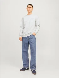 Jack & Jones Sweatshirt JJFERRIS SWEAT CREW NECK Grau/Hellgrau