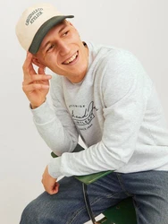 Jack & Jones Sweatshirt JJFERRIS SWEAT CREW NECK Grau/Dunkelgrün/Silber