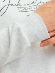 Jack & Jones Sweatshirt JJFERRIS SWEAT CREW NECK Grau/Dunkelgrün/Silber