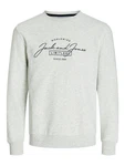 Jack & Jones Sweatshirt JJFERRIS SWEAT CREW NECK Grau/Dunkelgrün/Silber
