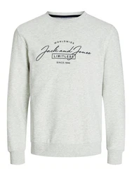 Jack & Jones Sweatshirt JJFERRIS SWEAT CREW NECK Grau/Dunkelgrün/Silber