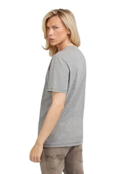 Guess T-Shirt Aidy Grau/Silber/Dunkelblau