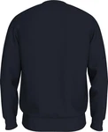 Tommy Hilfiger Sweatshirt Hilfiger Stripe Sweatshirt blau/desert sky