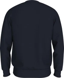 Sweatshirt HILFIGER STRIPE SWEATSHIRT mit mehrfarbigen Print