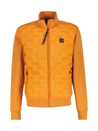 Sweatjacke Herren Sweatjacke mit gesteppter Front