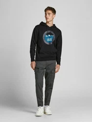 JACK & JONES Hose JJIAce JJDex Grau
