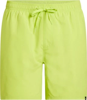 FIREFLY Badeshorts He.-Badeshorts Ken III M TWINE/SUMMIT WHITE-BLACK-GUM