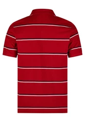 HECHTER PARIS Poloshirt Streifen-Polo 