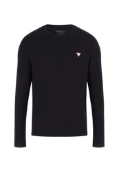 Guess Langarmshirt CN LS Core Schwarz/Grün