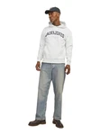 Jack & Jones JJECaleb Hoodie Weiß/Hellblau/Schwarz/Grau/Creme/Grün