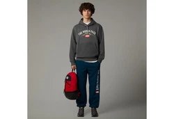The North Face Kapuzensweatshirt Varsity Graphic grau