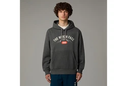 The North Face Kapuzensweatshirt Varsity Graphic grau